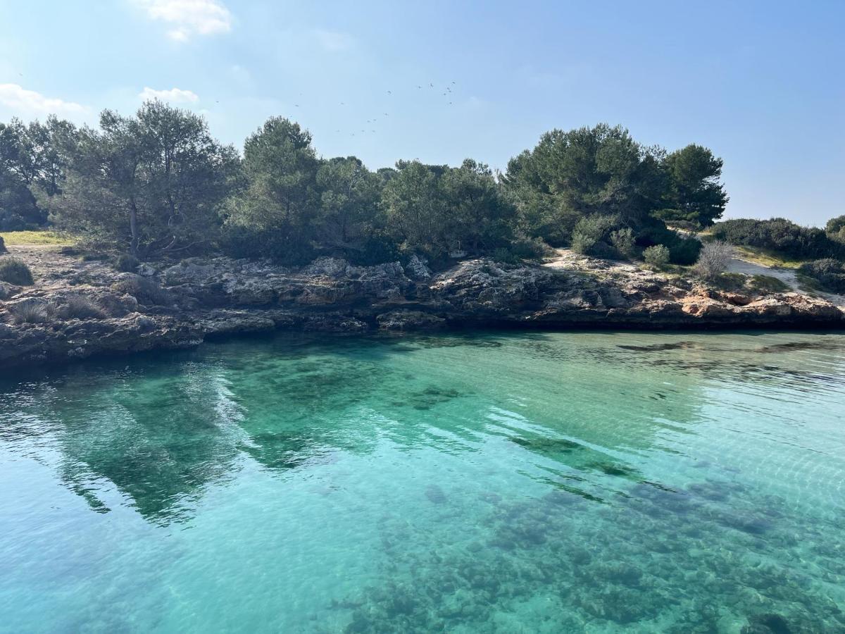 Donna Nina - Via San Martino 62 Daire Monopoli Dış mekan fotoğraf